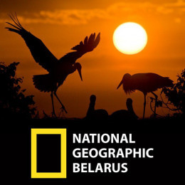 National Geographic Беларусь