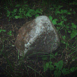 Камень В Лесу