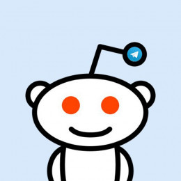 reddit robot - explore any subreddit