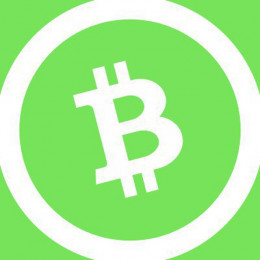 BitcoinCash Explorer