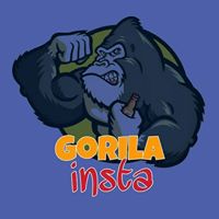 Gorila Insta