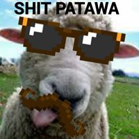 Shit Patawa