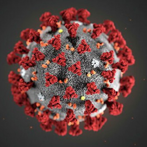 Коронавирус