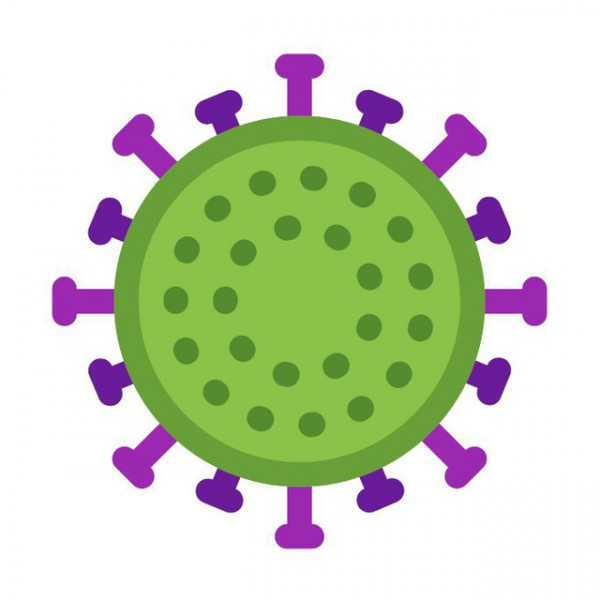 Coronavirus 🦠
