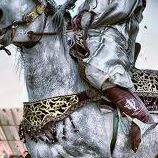 الخيل معقود في نواصيها الخير إلى يوم القيامة