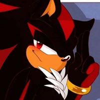 Shadow The Hedgehog