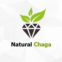 Nấm Chaga