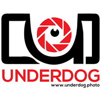 Underdog photo