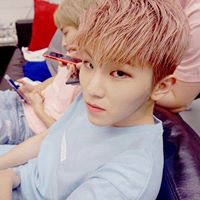 Woozi chatbot