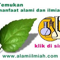 Supplier Jilbab Alami Ilmiah