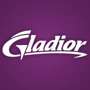 Gladior Online Marketing