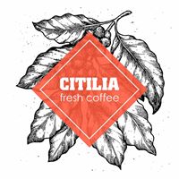 Citilia