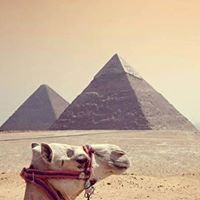 I Love Egypt