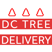 DC Tree Delivery