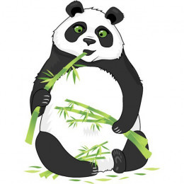 La Trivia De Panda