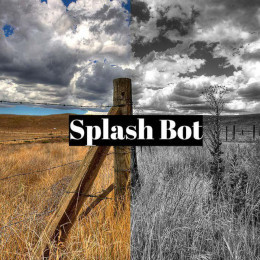 SplashBot