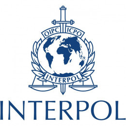 Interpol_bot