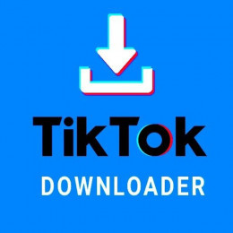 TikTok Downloader - Saveit.be