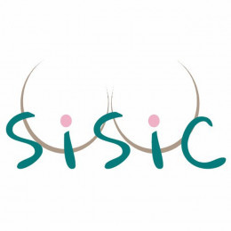 SiSiC