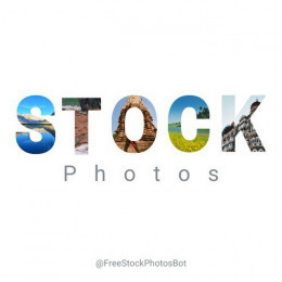 Stock Photos Bot