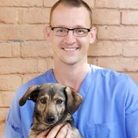 Dr. Franz Spitzer - Tierarzt für Hunde