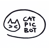 Cat Pic Bot