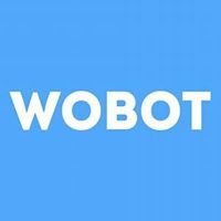 wobot.me