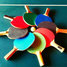 Table Tennis Daily Videos