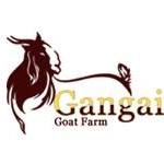 Gangai Goat Farm