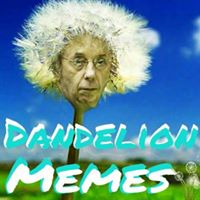 Dandelion Memes