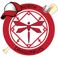 Vietnam Dragonflys Baseball Team