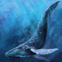 კომიქსი ვეშაპი / Blue Whale