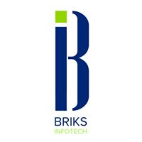 BRIKS Infotech