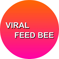 Viral Feed Bee