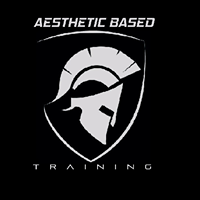 Aesthetic Based Training