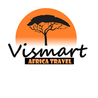 Vismart Africa Travel