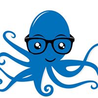 Smart Octopus SEO