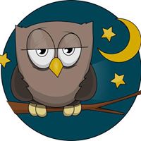 Night Owl Marketing Show