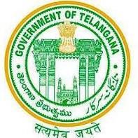 Nava Telangana GOVT Jobs Portal